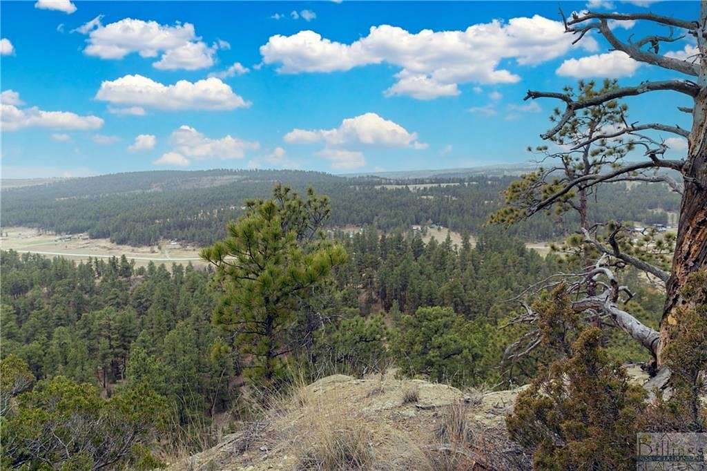 40 Acres of Recreational Land for Sale in Roundup, Montana