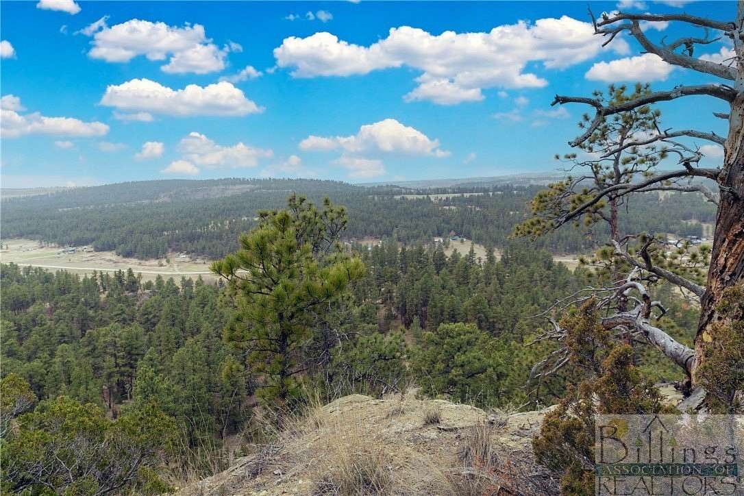 40 Acres of Recreational Land for Sale in Roundup, Montana