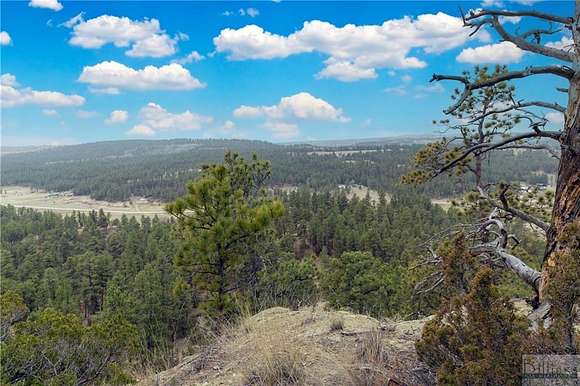 40 Acres of Recreational Land for Sale in Roundup, Montana