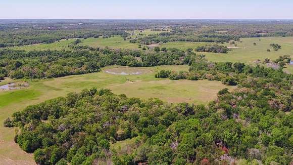 114 Acres of Recreational Land & Farm for Sale in Cameron, Texas