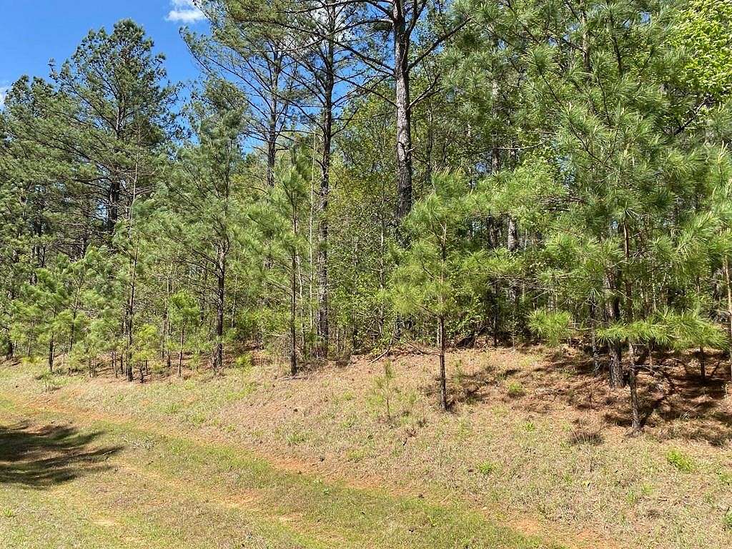 1 Acre of Residential Land for Sale in Hodges, South Carolina