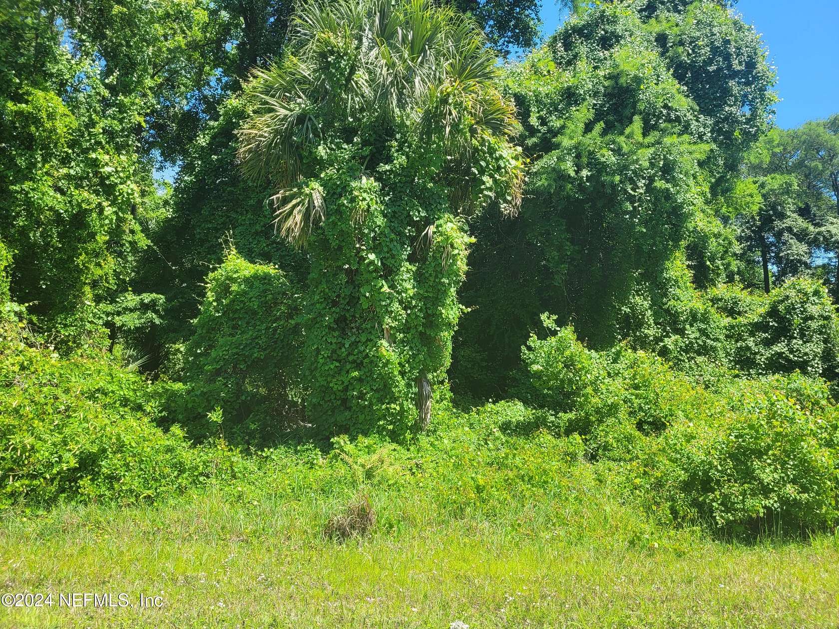 1.08 Acres of Residential Land for Sale in Georgetown, Florida