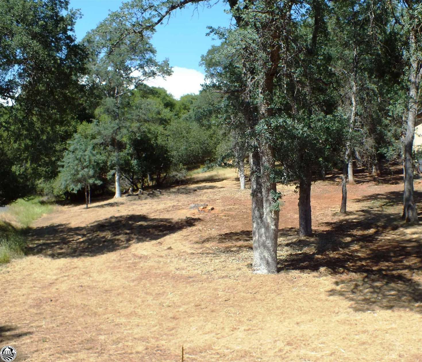 0.39 Acres of Residential Land for Sale in Groveland, California