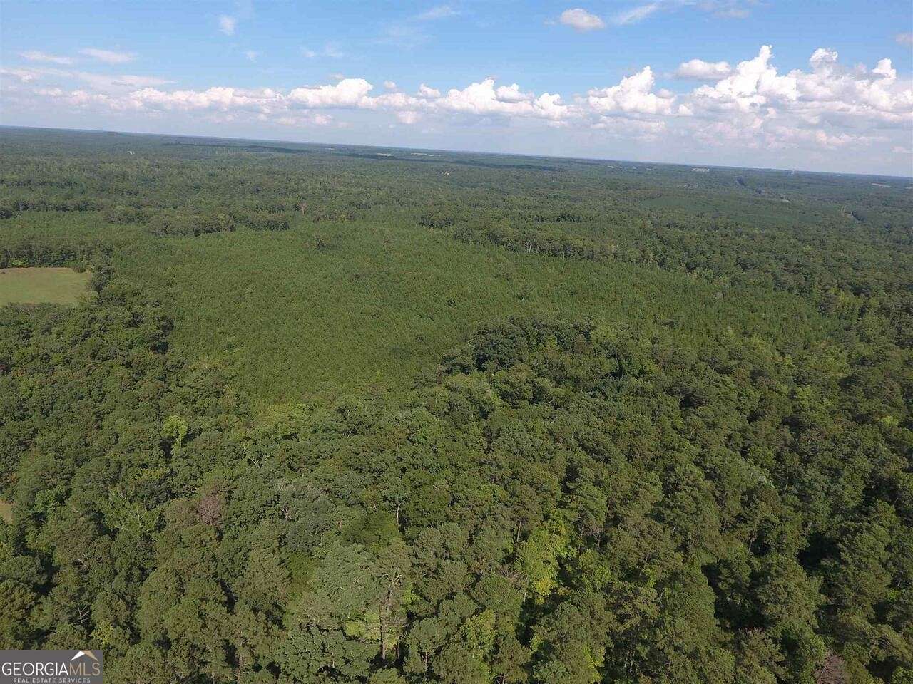 552 Acres of Recreational Land & Farm for Sale in Monticello, Georgia