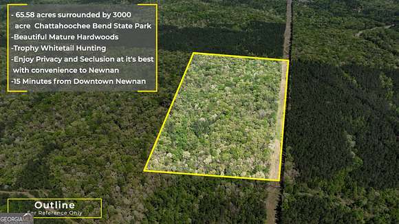 65.6 Acres of Land for Sale in Newnan, Georgia