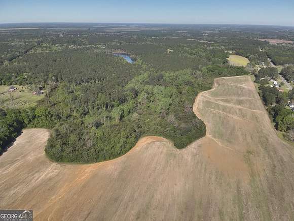 66.6 Acres of Land for Sale in Pelham, Georgia