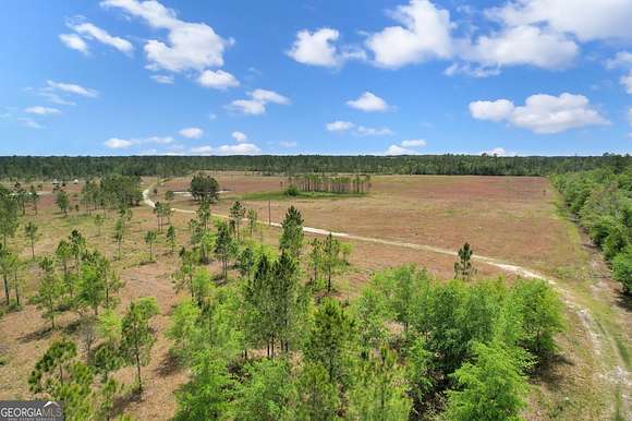 27 Acres of Agricultural Land for Sale in Hortense, Georgia