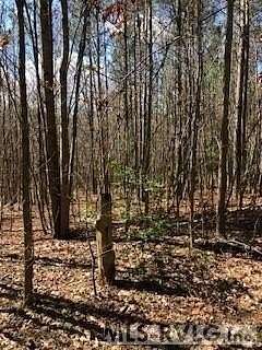 9.2 Acres of Residential Land for Sale in Brodnax, Virginia