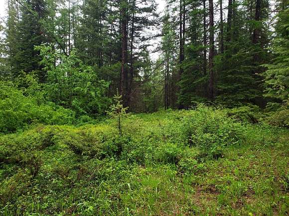 20 Acres of Recreational Land for Sale in Trego, Montana