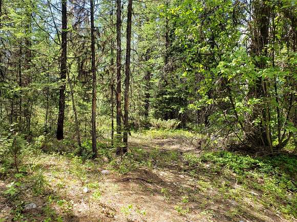 20 Acres of Recreational Land for Sale in Trego, Montana