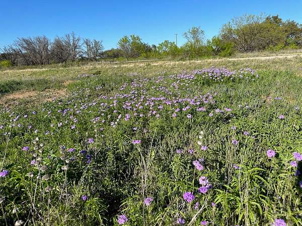 0.27 Acres of Residential Land for Sale in Brownwood, Texas