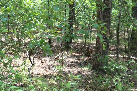 3.7 Acres of Land for Sale in Protem, Missouri