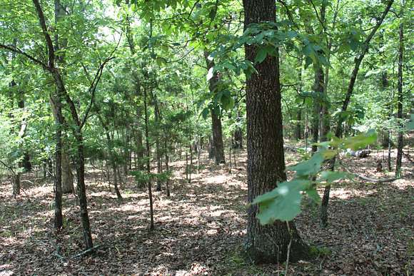 3 Acres of Recreational Land & Farm for Sale in Protem, Missouri