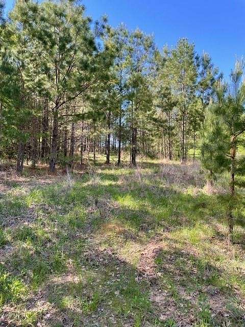 52.1 Acres of Recreational Land for Sale in Palestine, Texas