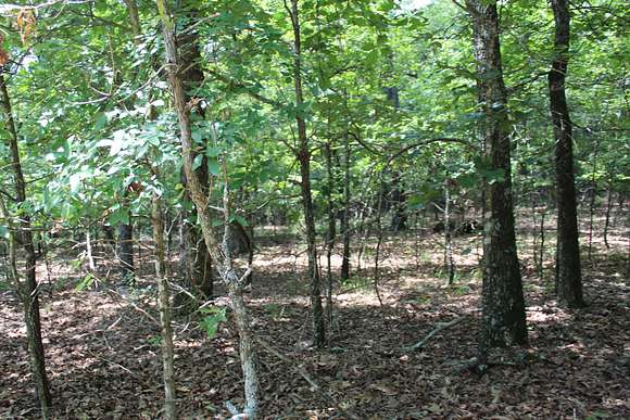 3 Acres of Land for Sale in Protem, Missouri