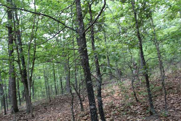 3.9 Acres of Land for Sale in Protem, Missouri
