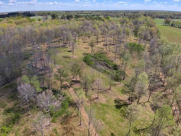30 Acres of Land for Sale in Lexington, Alabama