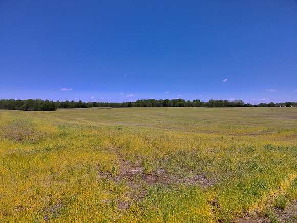 300 Acres of Land for Sale in Athens, Alabama