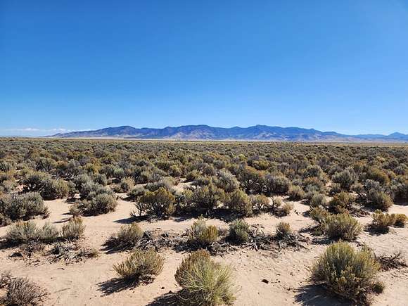 1 Acre of Residential Land for Sale in Yucca, Arizona