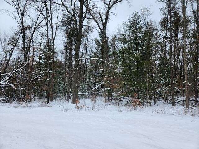 0.38 Acres of Residential Land for Sale in Baldwin, Michigan