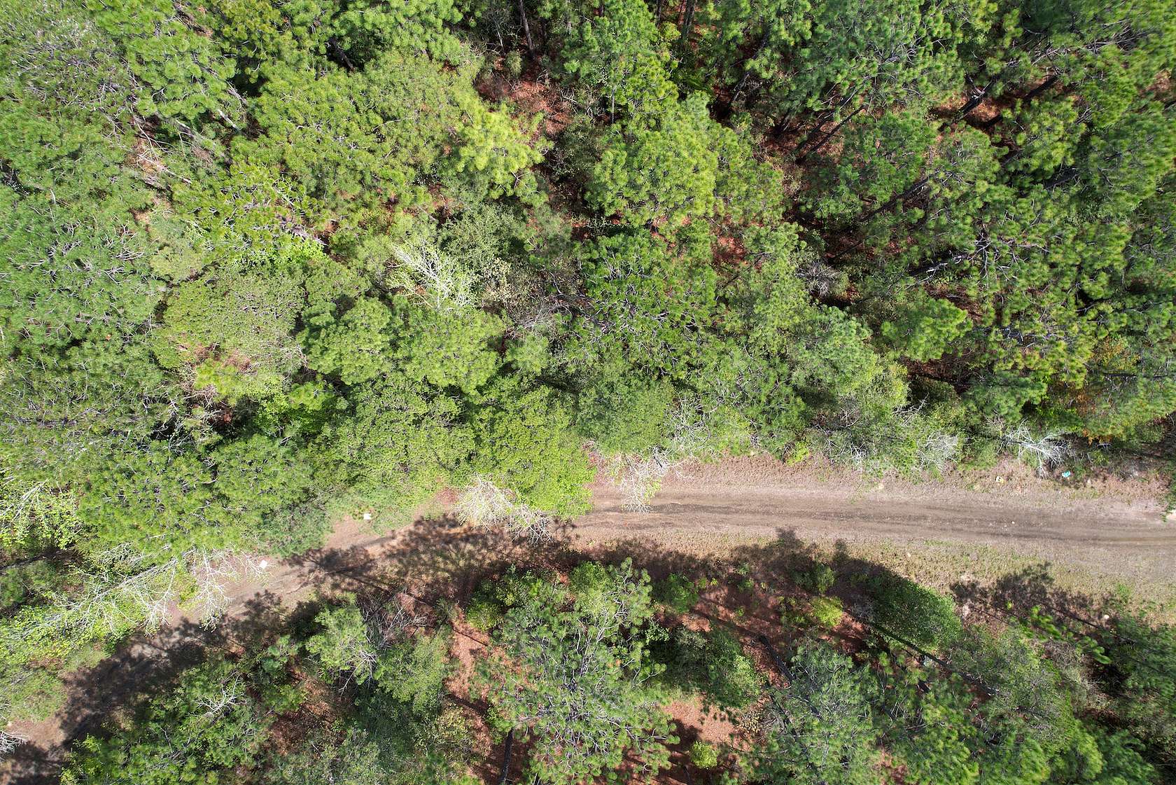 0.41 Acres of Residential Land for Sale in Sam Rayburn, Texas