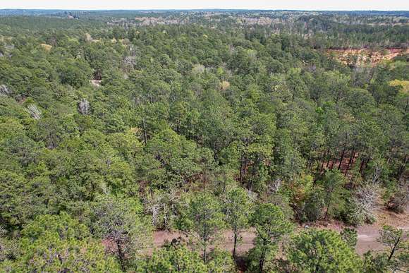 0.41 Acres of Residential Land for Sale in Sam Rayburn, Texas