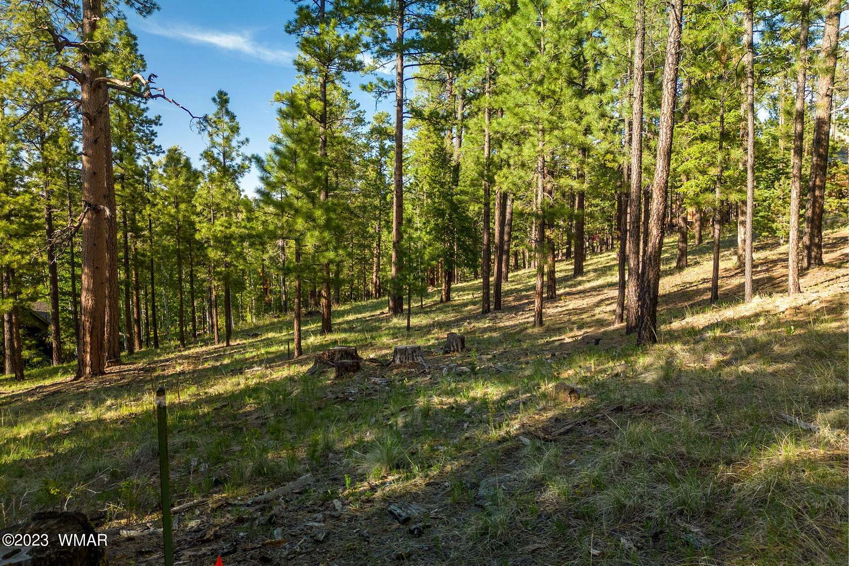 1 Acre of Residential Land for Sale in Greer, Arizona