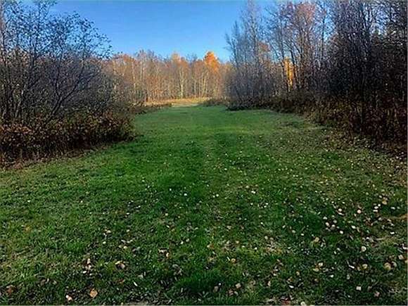 74.34 Acres of Recreational Land for Sale in Federal Dam, Minnesota