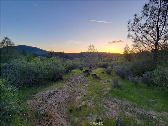 15.86 Acres of Land for Sale in Montgomery Creek, California