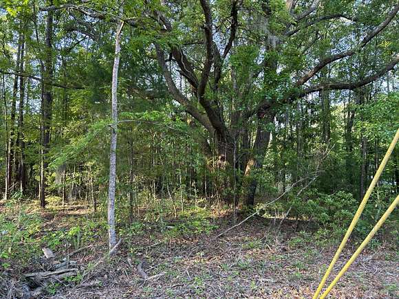 1 Acre of Residential Land for Sale in Hollywood, South Carolina