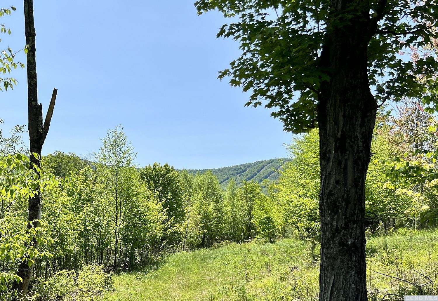 1.6 Acres of Land for Sale in Windham, New York