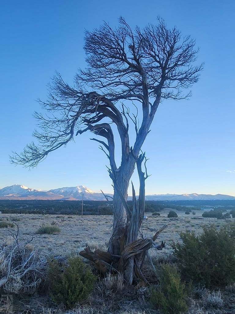 2.16 Acres of Land for Sale in Walsenburg, Colorado