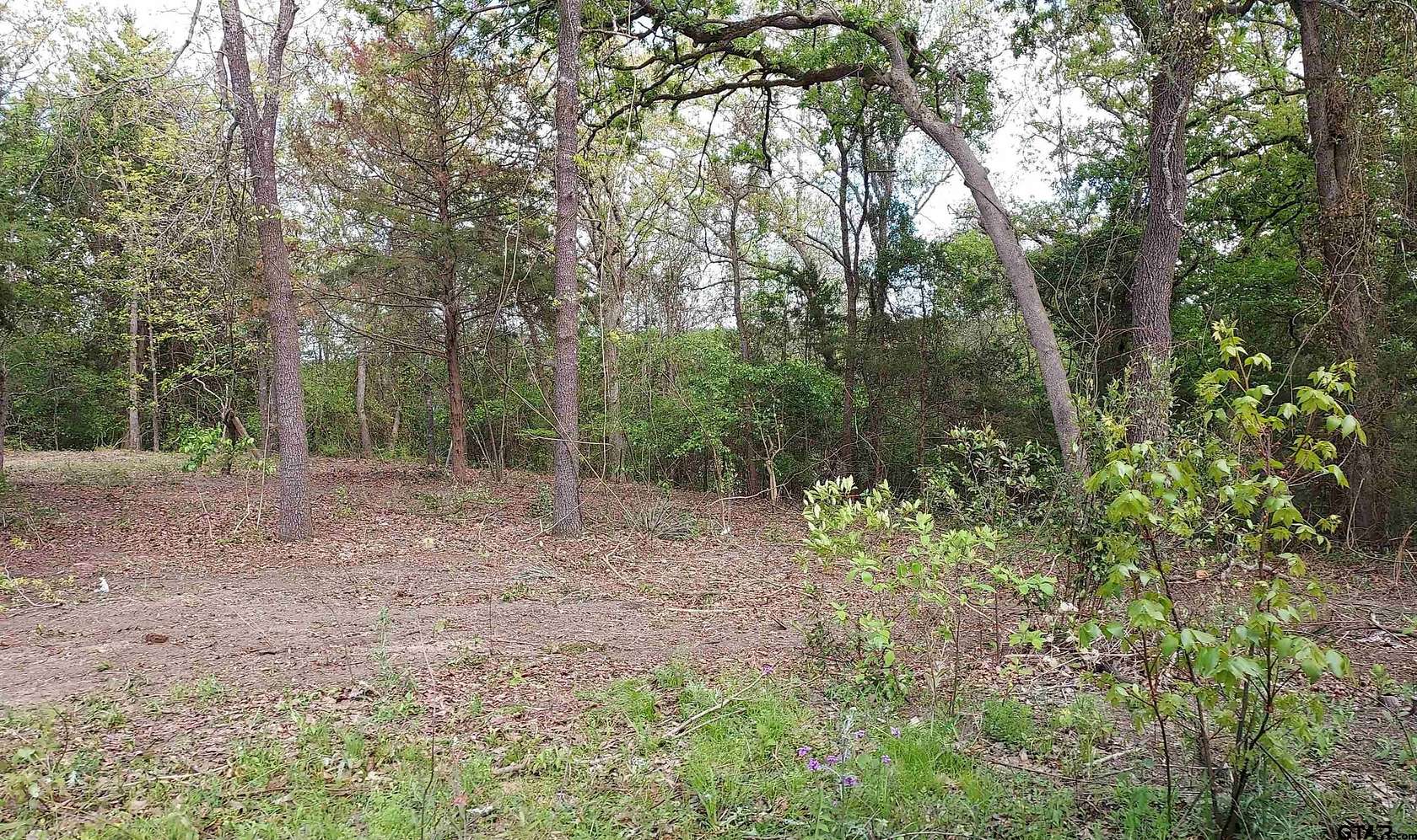 0.66 Acres of Residential Land for Sale in Mineola, Texas