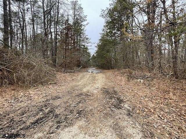 0.25 Acres of Land for Sale in Buena Vista Township, New Jersey