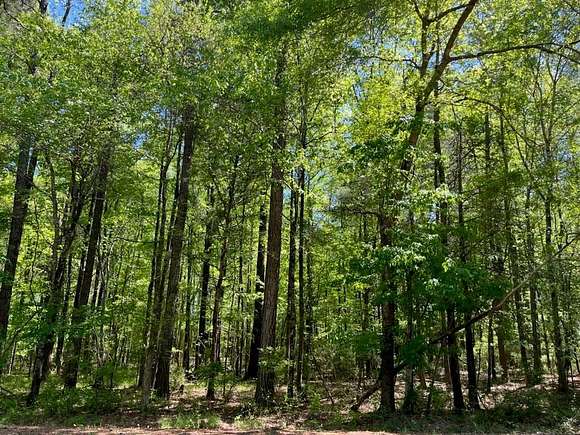 1.8 Acres of Land for Sale in Opelika, Alabama