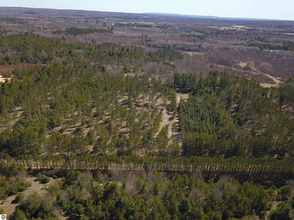 10 Acres of Recreational Land for Sale in Kaleva, Michigan