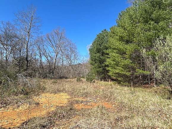 13.6 Acres of Land for Sale in Ivanhoe, Virginia