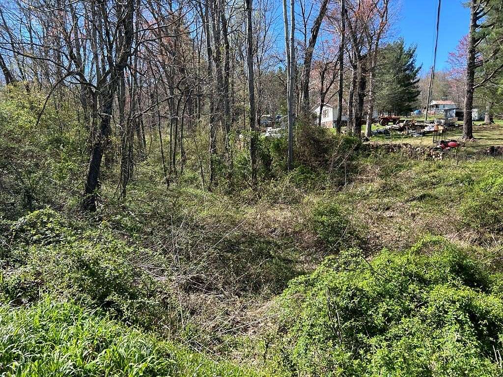 0.65 Acres of Land for Sale in Ivanhoe, Virginia