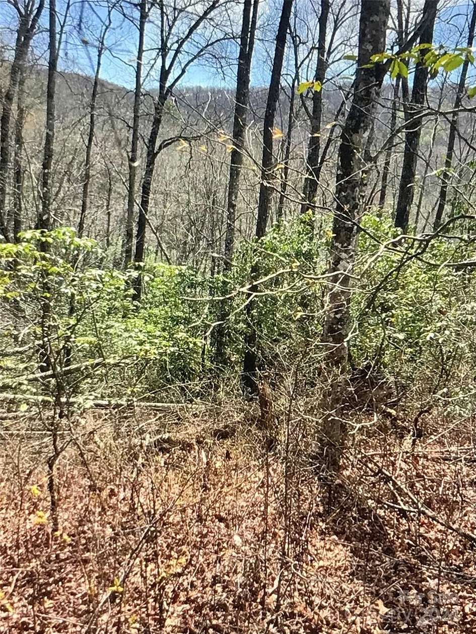 4.8 Acres of Land for Sale in Balsam Grove, North Carolina