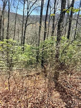 4.78 Acres of Land for Sale in Balsam Grove, North Carolina