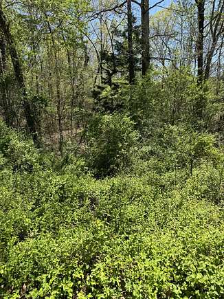 0.47 Acres of Residential Land for Sale in Dunlap, Tennessee