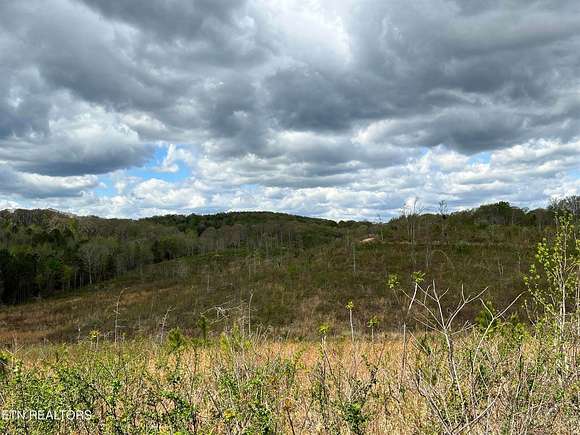 26.3 Acres of Land for Sale in Ten Mile, Tennessee