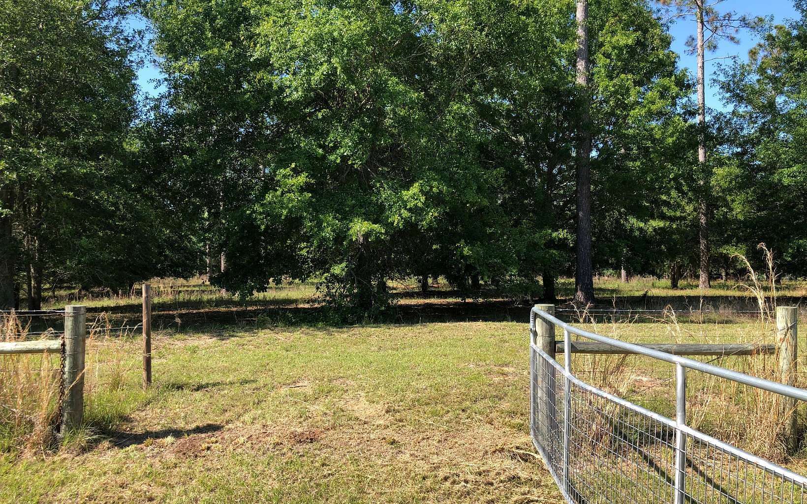 5.3 Acres of Residential Land for Sale in Live Oak, Florida