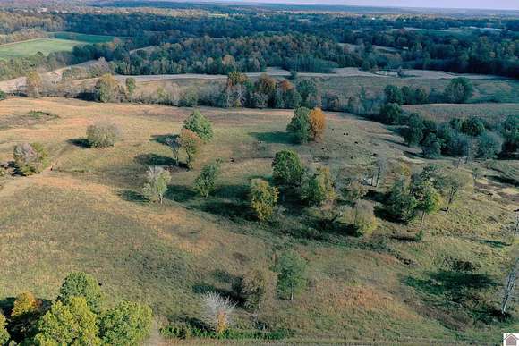 175 Acres of Agricultural Land for Auction in Wickliffe, Kentucky