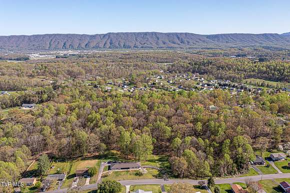 18.3 Acres of Mixed-Use Land for Sale in Mount Carmel, Tennessee