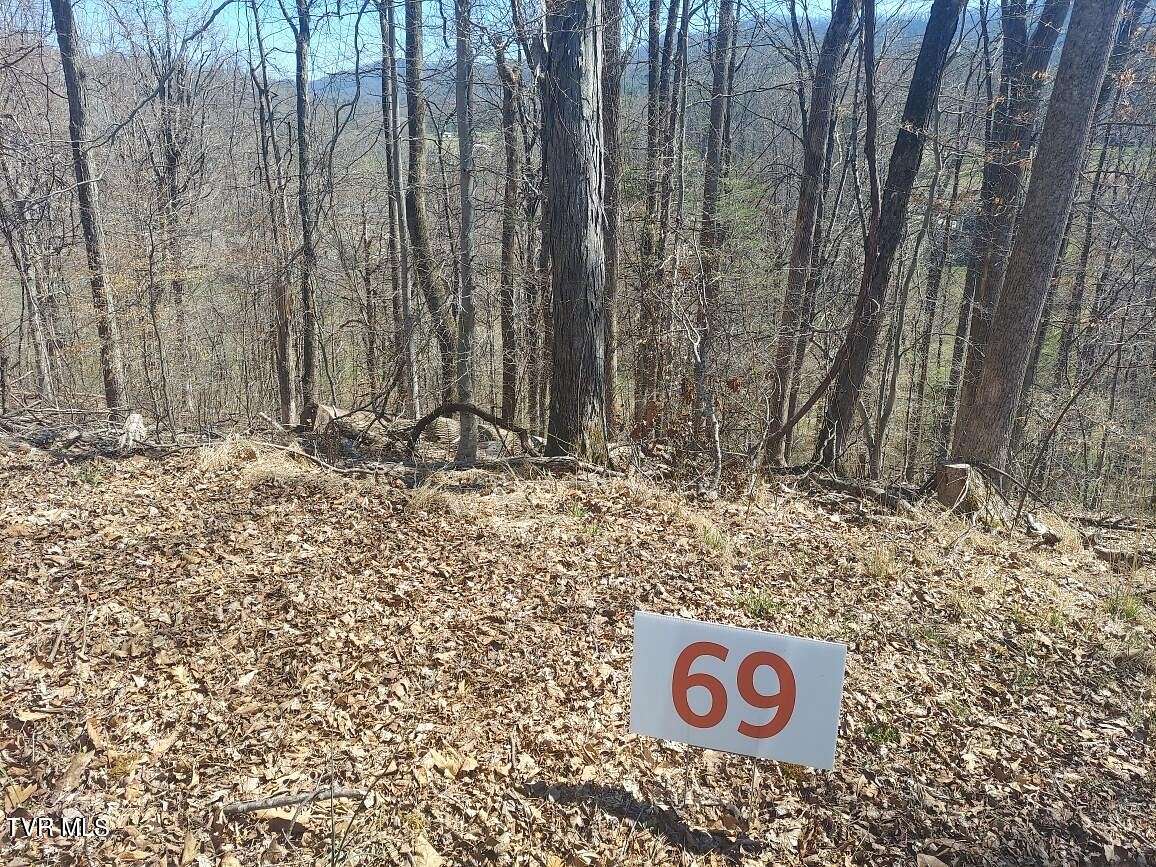 0.54 Acres of Land for Sale in Unicoi, Tennessee