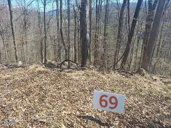 0.54 Acres of Land for Sale in Unicoi, Tennessee