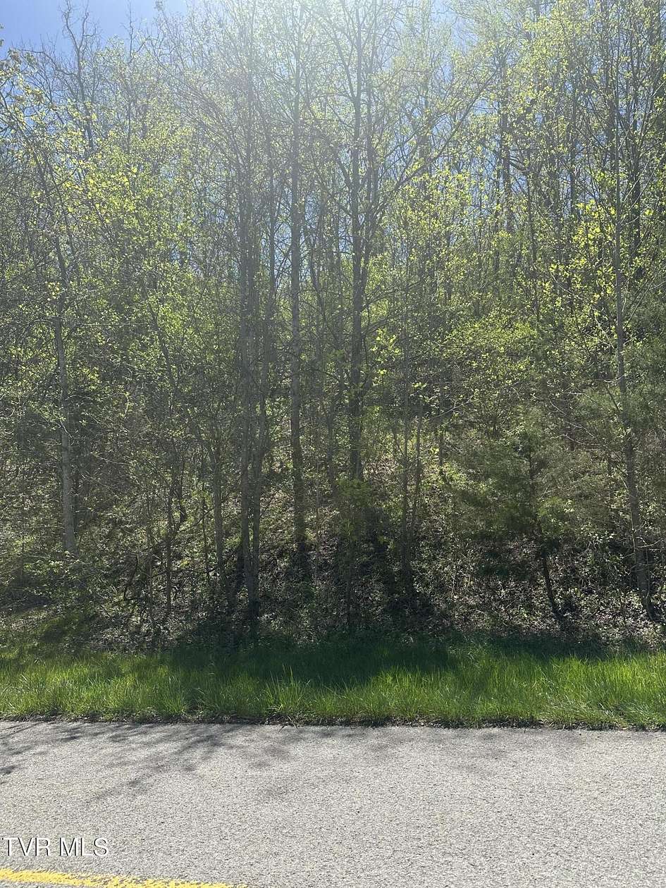 Residential Land for Sale in Sharps Chapel, Tennessee