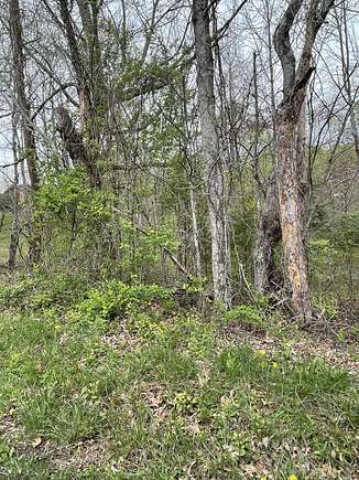3 Acres of Residential Land for Sale in Beattyville, Kentucky
