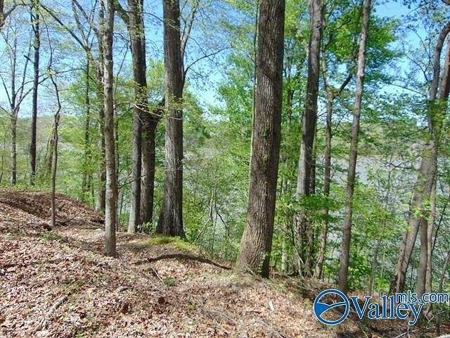 Land for Sale in Athens, Alabama